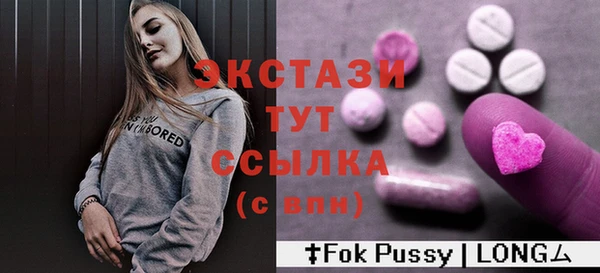 индика Пестово