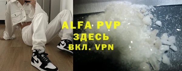 индика Пестово