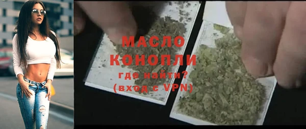индика Пестово