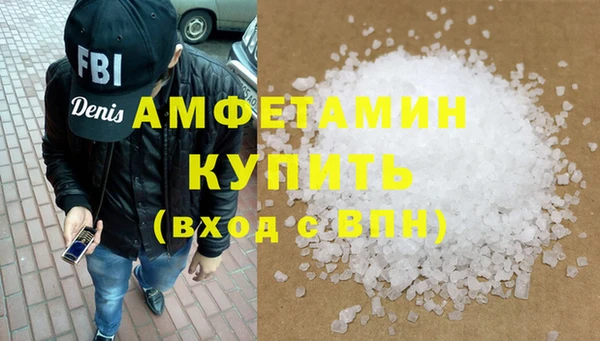 индика Пестово
